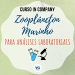 Zooplâncton Marinho para Análises Laboratoriais