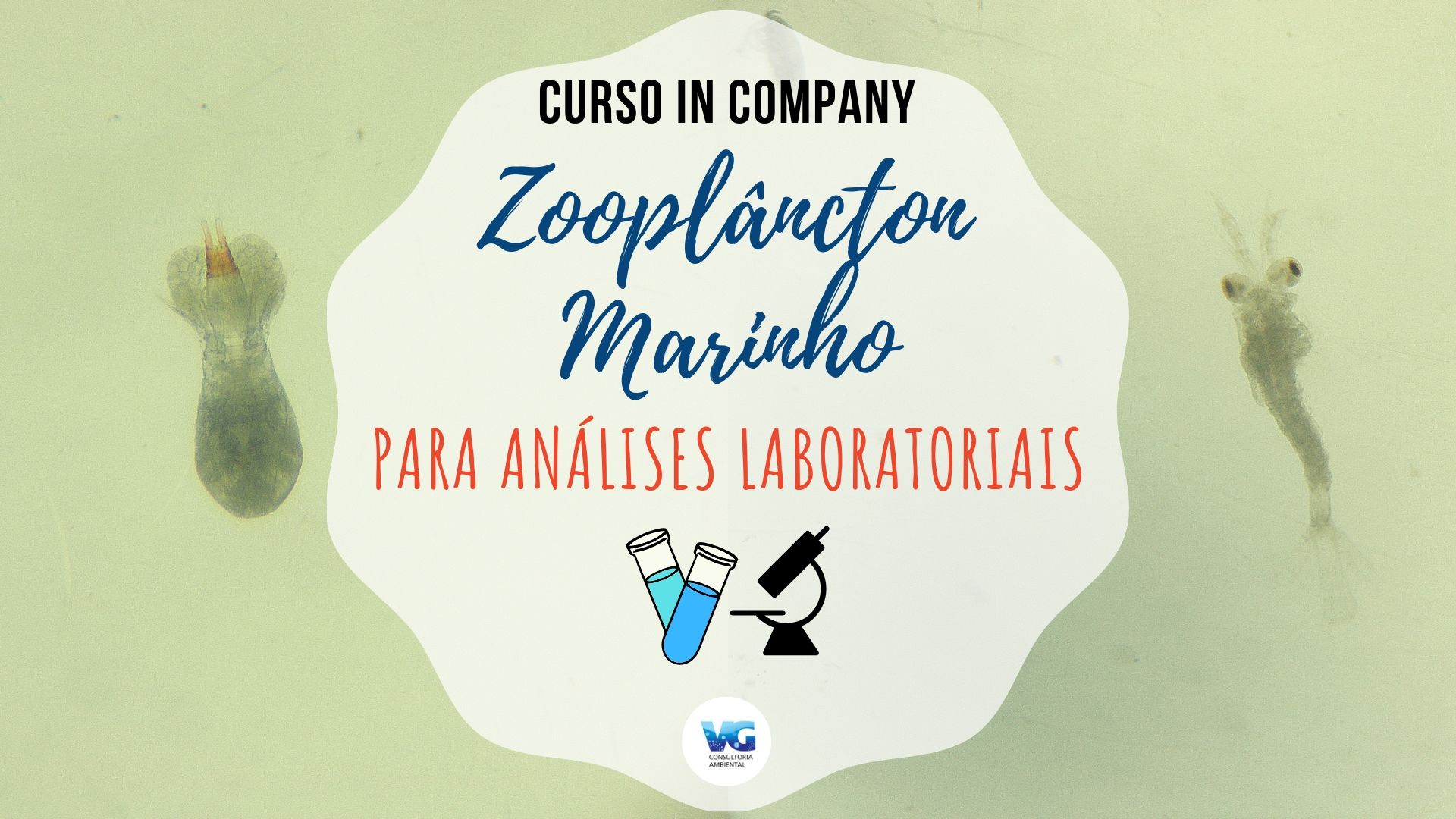 analises-laboratoriais-zoo-marinho-incompany