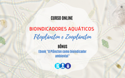 Curso Online Bioindicadores Aquáticos: Fitoplâncton e Zooplâncton