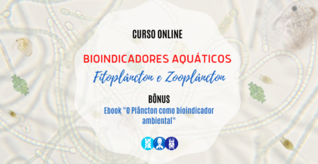 CURSO ONLINE AO VIVO-2