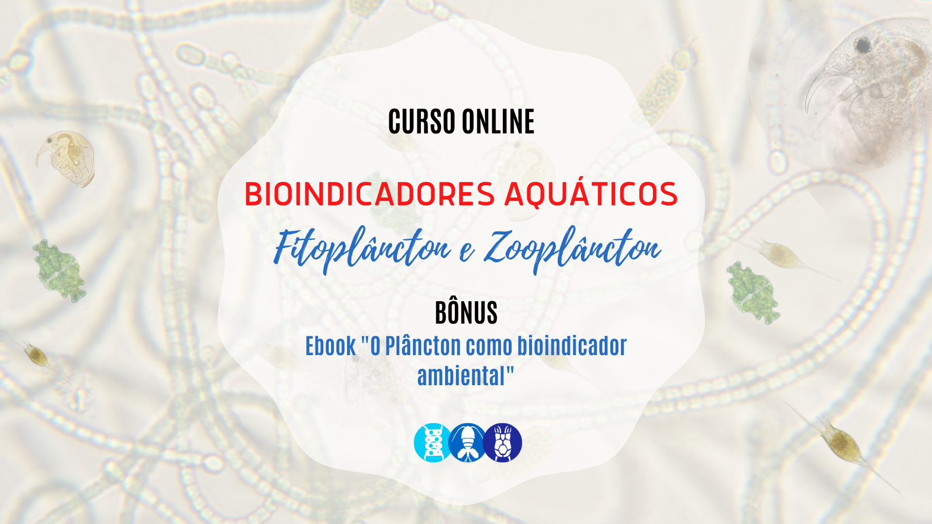 CURSO ONLINE AO VIVO-2