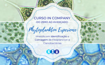 Curso in Company Phytoplankton Experience: Imersão em Identificação e Contagem de Fitoplâncton e Cianobactérias