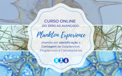 Curso Online Plankton Experience: Imersão em Identificação e Contagem de Zooplâncton, Fitoplâncton e Cianobactérias