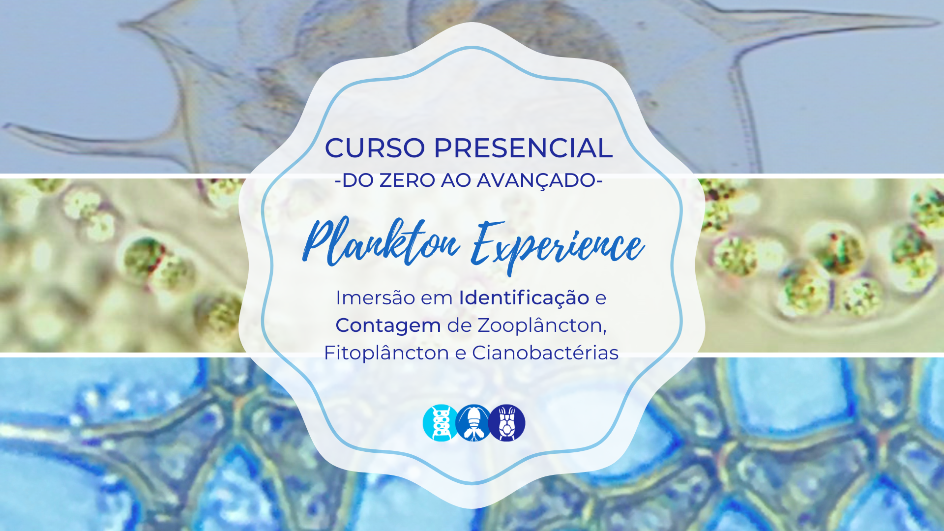 PE-Banner-Presencial