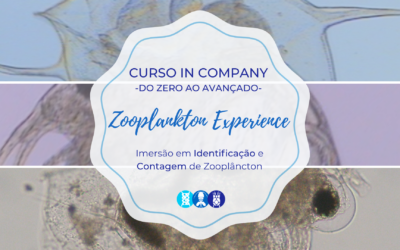 Curso in Company Zooplankton Experience: Imersão em Identificação e Contagem de Zooplâncton