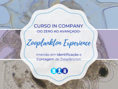 Curso in Company Zooplankton Experience: Imersão em Identificação e Contagem de Zooplâncton