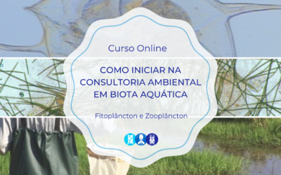 Curso Online Como Iniciar na Consultoria Ambiental em Biota Aquática: Fitoplâncton e Zooplâncton